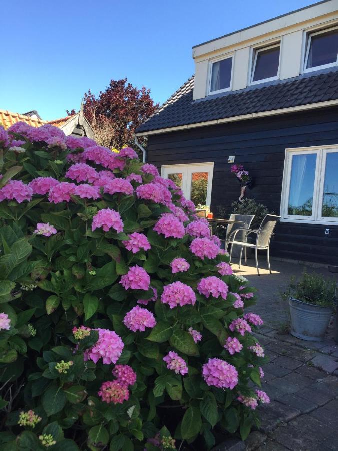T Huuske Tuinappartement Met Fantastisch Uitzicht, Nabij Zee 宗讷迈勒 外观 照片