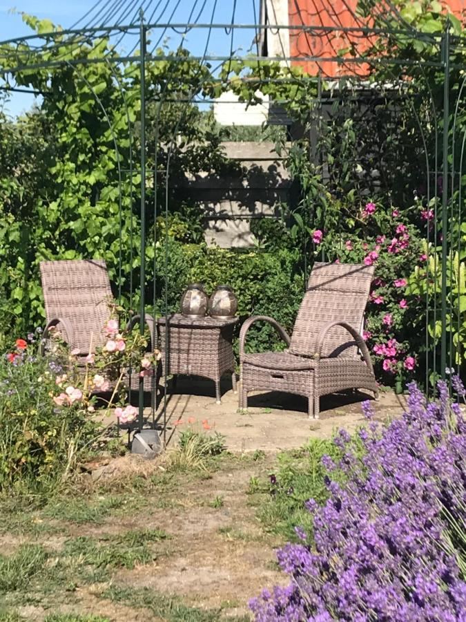 T Huuske Tuinappartement Met Fantastisch Uitzicht, Nabij Zee 宗讷迈勒 外观 照片