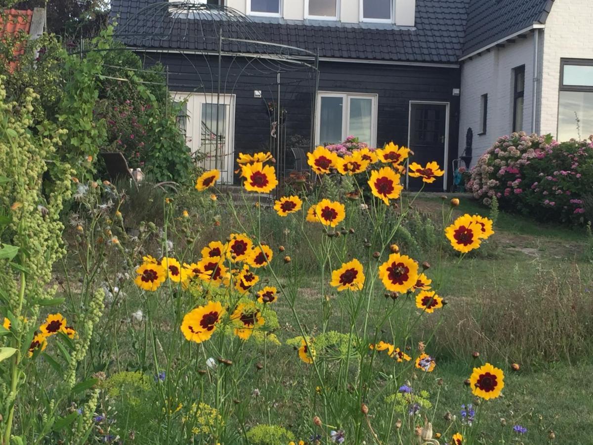 T Huuske Tuinappartement Met Fantastisch Uitzicht, Nabij Zee 宗讷迈勒 外观 照片