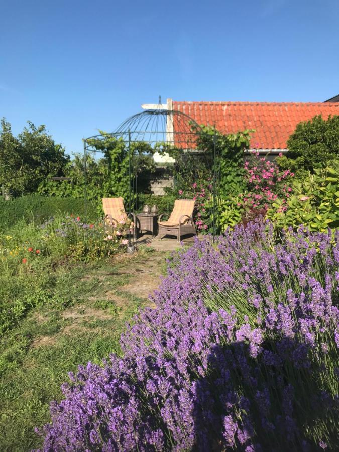 T Huuske Tuinappartement Met Fantastisch Uitzicht, Nabij Zee 宗讷迈勒 外观 照片